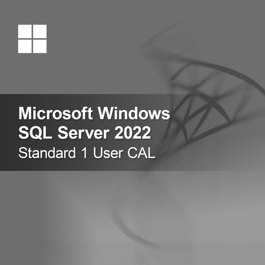 Microsoft SQL Server 2022 Standard 1 uporabniška licenca CAL