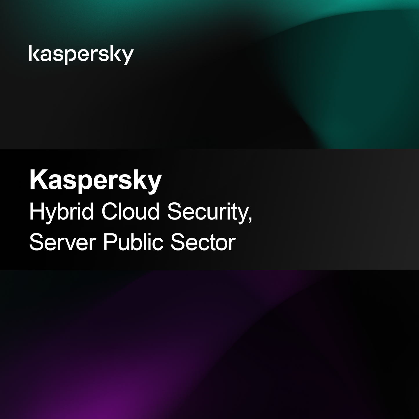 Kaspersky Hybrid Cloud Security, Server offentlig sektor