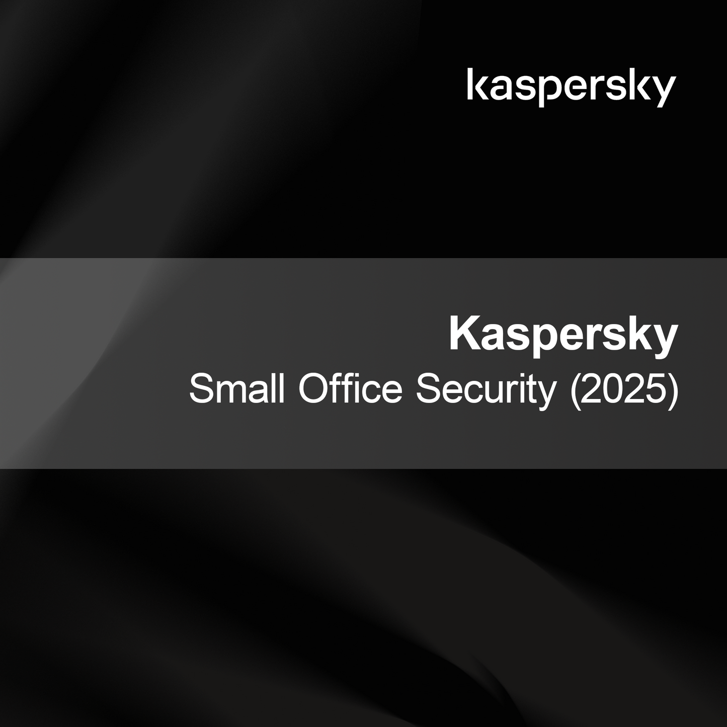 Kaspersky Majhna Pisarna Varnost (2025)